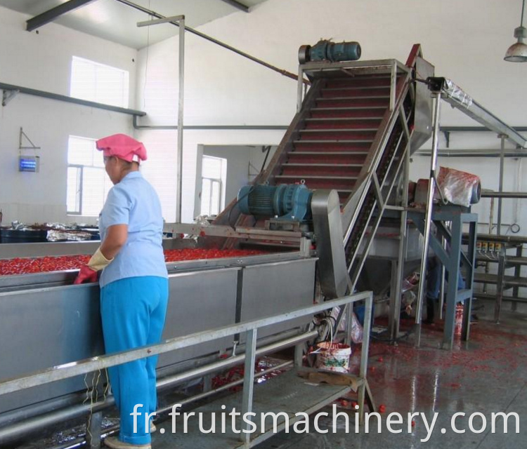 Fruit Sauce Processing Line